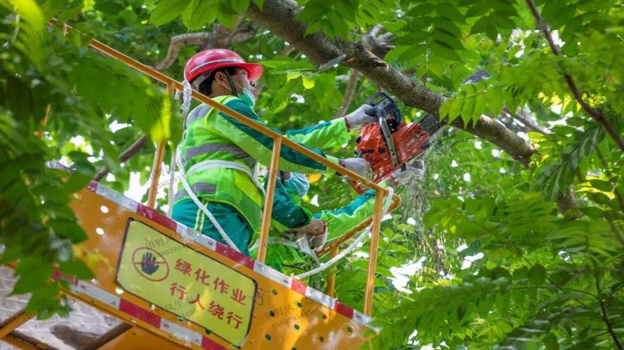 韶关绿化工程项目