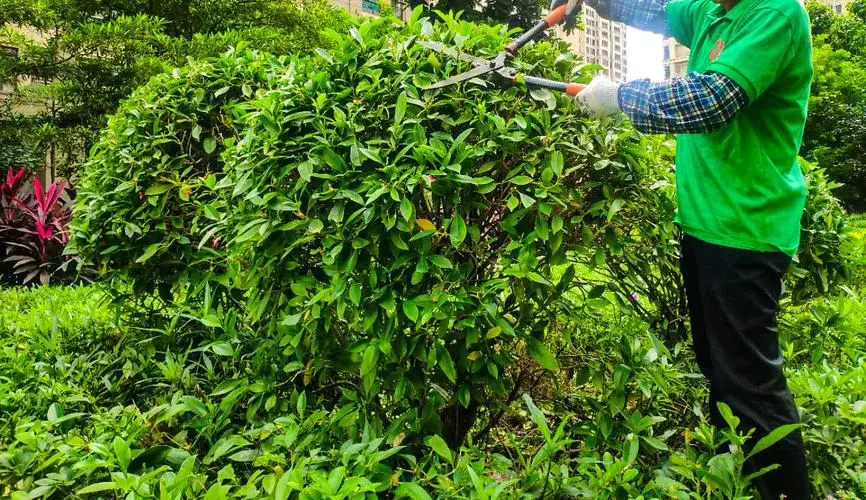 高速公路绿化工程劳务费怎么算