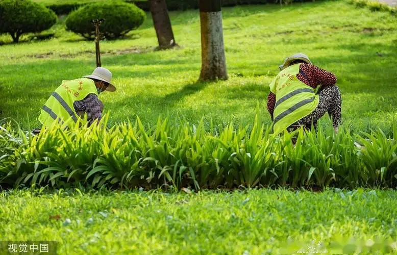 50亩度假村园林景观设计