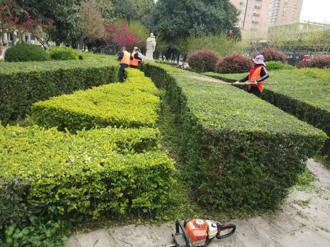 阿塔公路沿线绿化工程